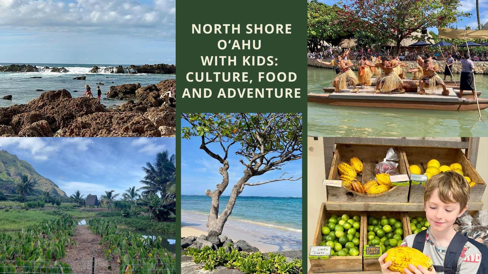 Best Family Activities on North Shore Oahu with Kids