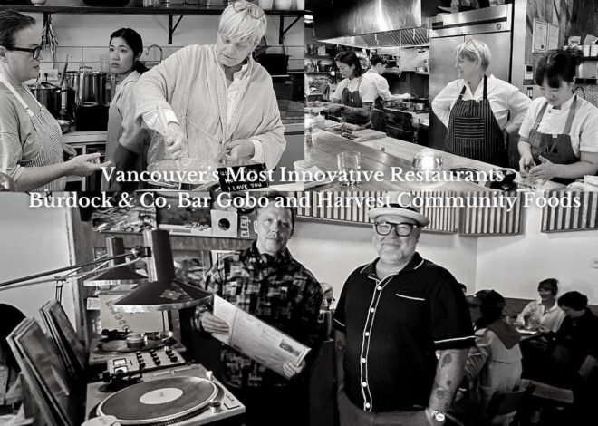 Burdock & Co, Bar Gobo & Harvest