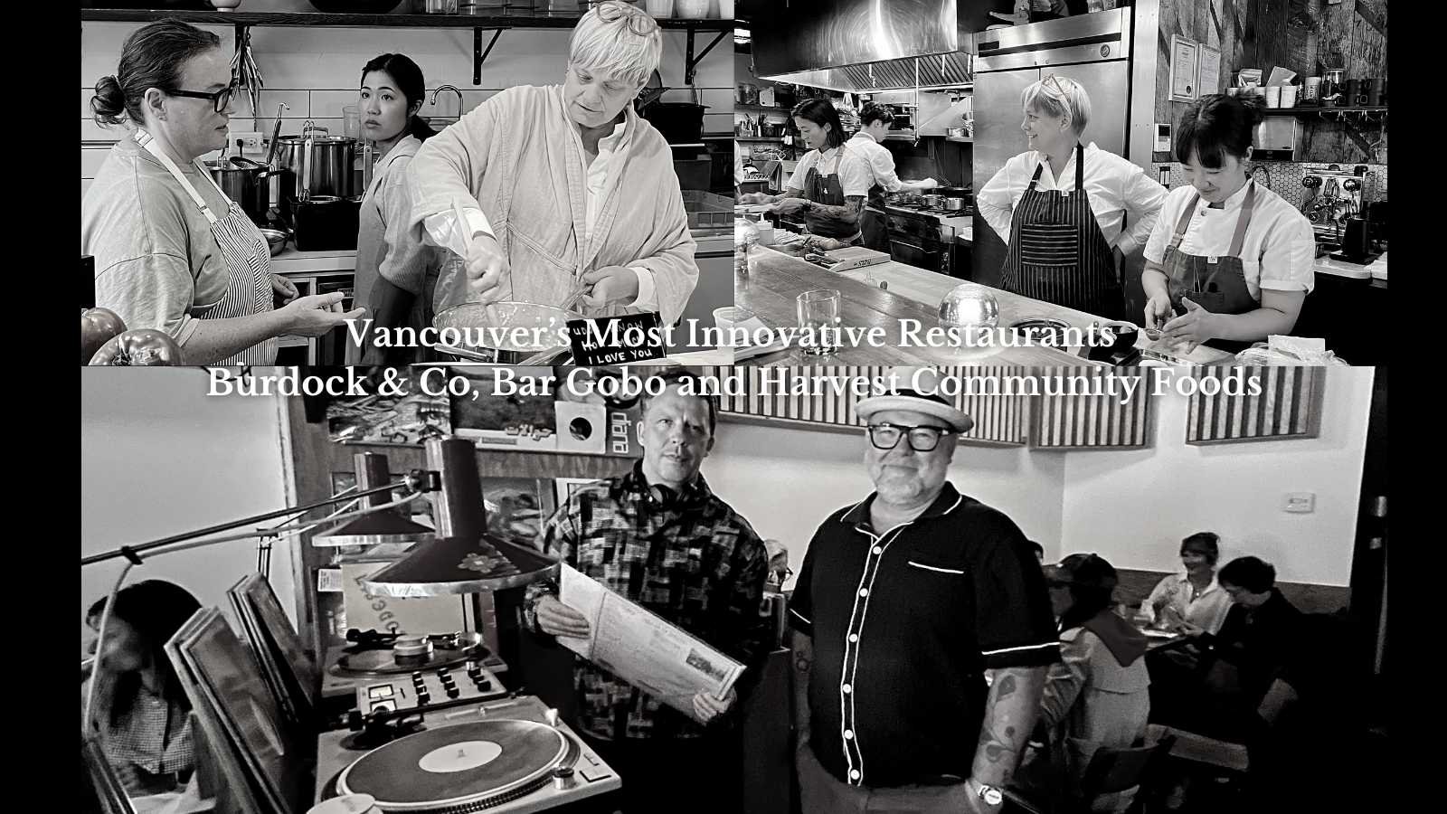 Burdock & Co, Bar Gobo & Harvest